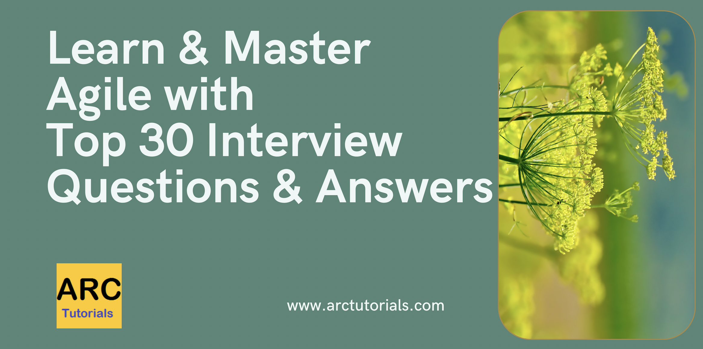 Top 30 Agile Interview Questions And Answers - ARC Tutorials