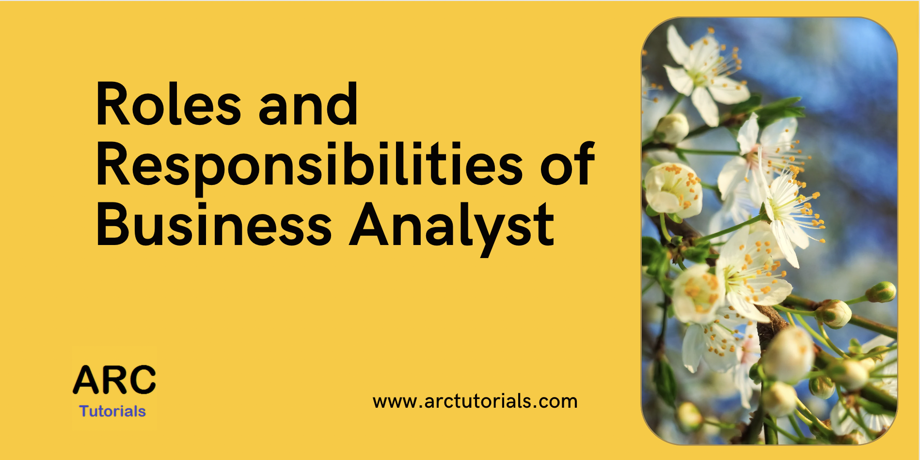 Roles And Responsibilities Of Business Analyst - ARC Tutorials