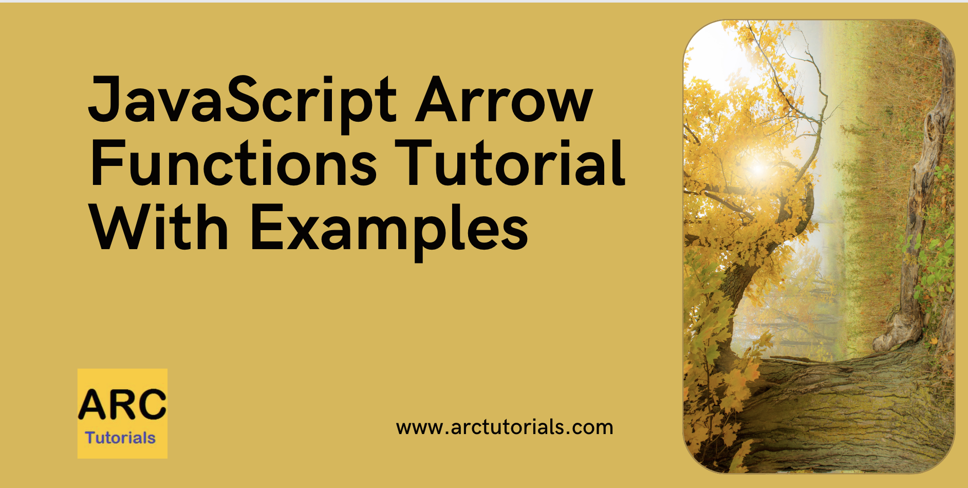 JavaScript Arrow Functions Tutorial With Examples - ARC Tutorials